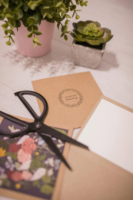 a pair of scissors sitting on top of a table, inspired by Eden Box, private press, cottagecore flower garden, focus on card, brown paper, bespoke