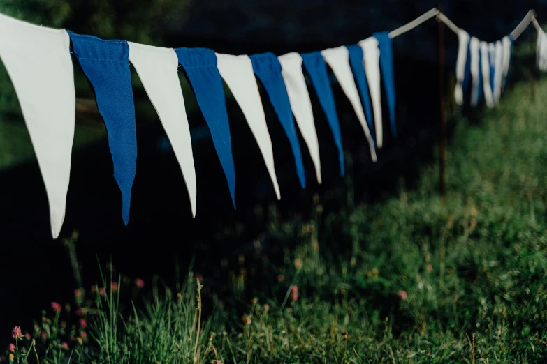 a row of blue and white flags hanging from a fence, by Helen Stevenson, unsplash, against dark background, garden, dipped in polished blue ceramic, velvet