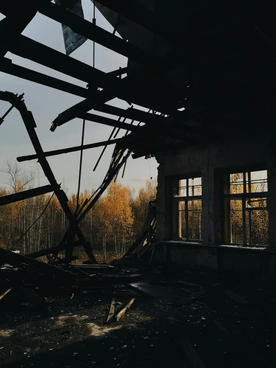 the sun shines through the windows of an abandoned building, pexels contest winner, destroyed forest, dark academia aesthetic, promo image, during autumn