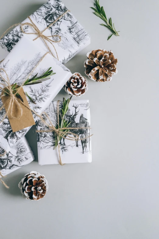 a bunch of wrapped presents sitting on top of a table, by Eden Box, pexels contest winner, white and grey, pinecone, ilustration, back