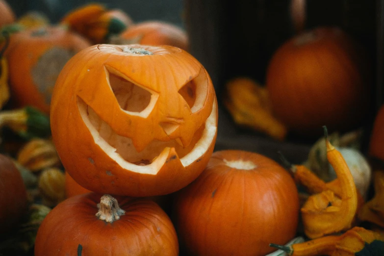 a pile of pumpkins sitting on top of each other, pexels, avatar image, carved soap, opening shot, profile image