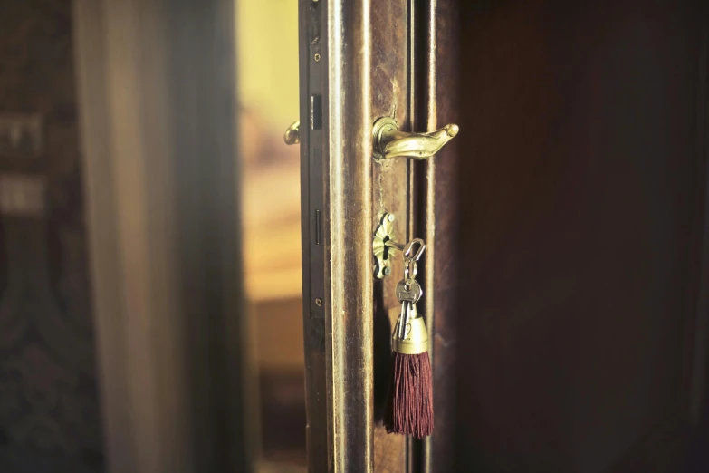 a door handle with a tassel hanging from it, private press, 50mm photograph, maroon metallic accents, environmental shot, brown