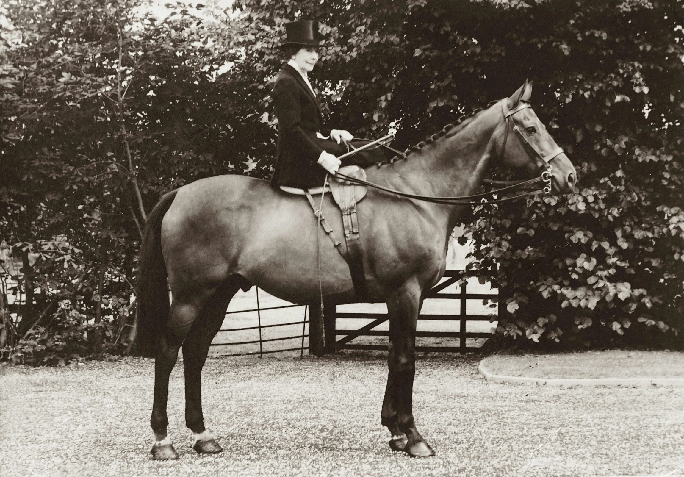 a man riding on the back of a brown horse, flickr, fine art, 1950s photograph, standing and posing elegantly, hunter, taken in the early 2020s