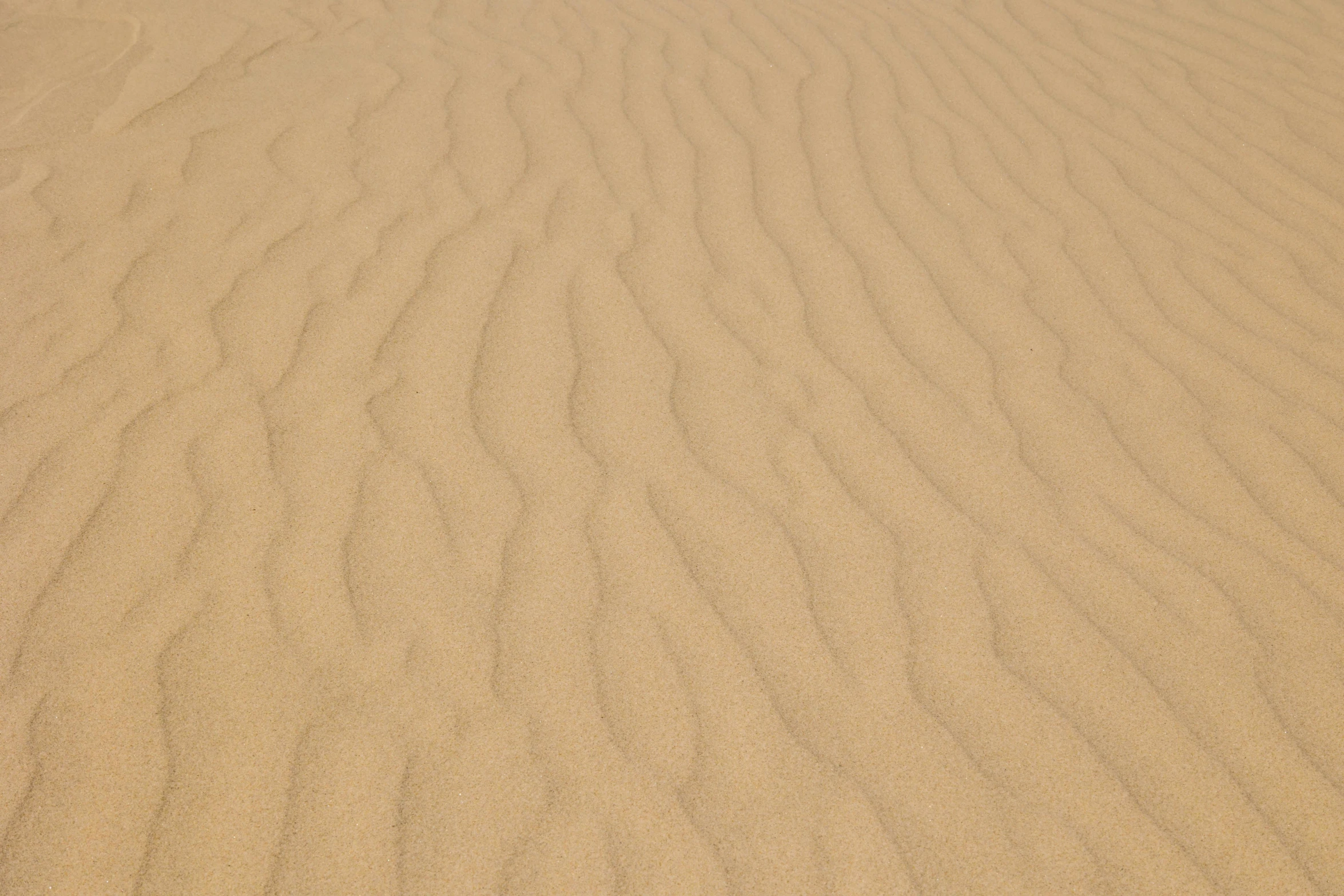 a group of people standing on top of a sandy beach, a stipple, by Andries Stock, pexels contest winner, op art, sandy beige, texture of sand, sinuous, extremely detailed + 8k