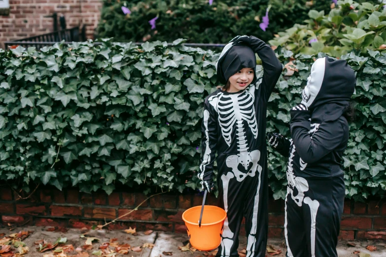two young children dressed up in halloween costumes, a cartoon, by Nina Hamnett, pexels, fleshy skeletal, game ready, foil, instagram post