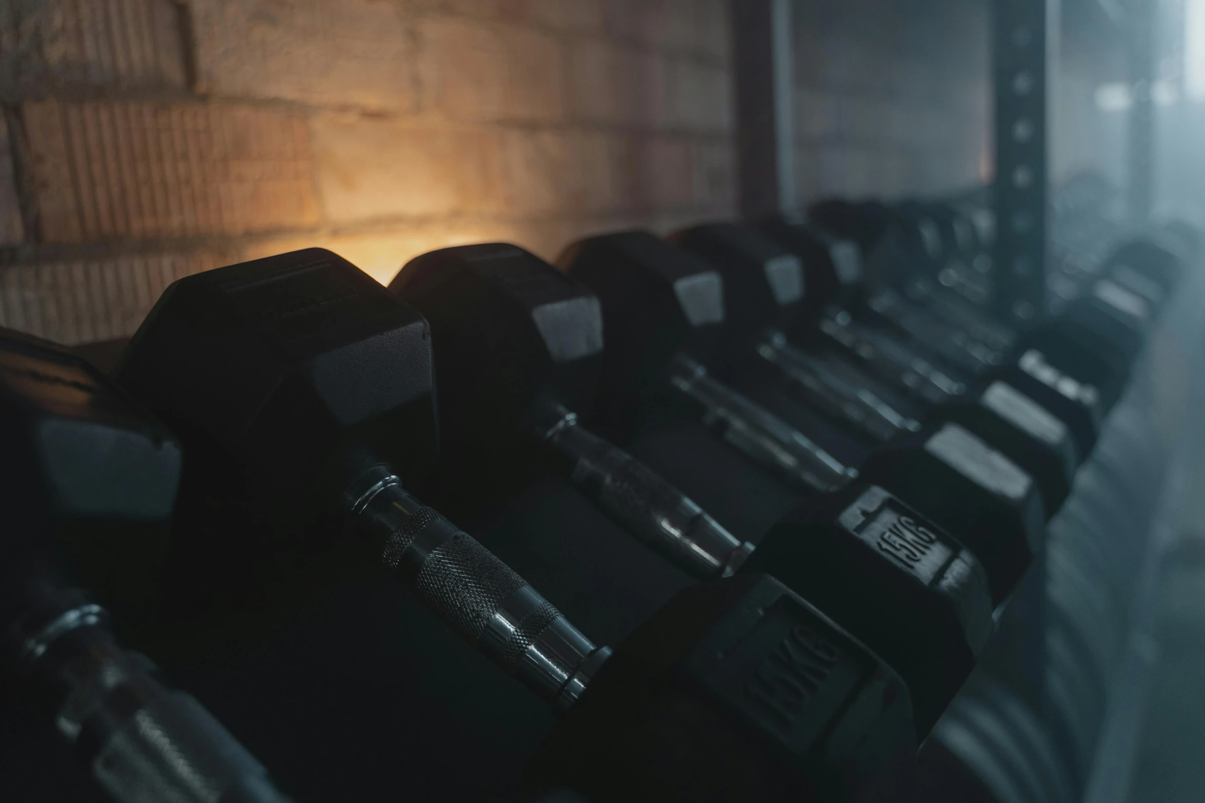 a row of dumbbells next to a brick wall, pexels contest winner, moody hazy lighting, the backroom, profile image, local gym
