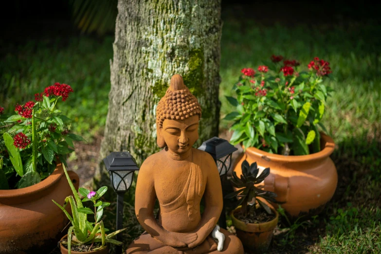 a buddha statue sitting in the grass next to potted plants, sol retreat, tropical setting, cottagecore flower garden, professional image