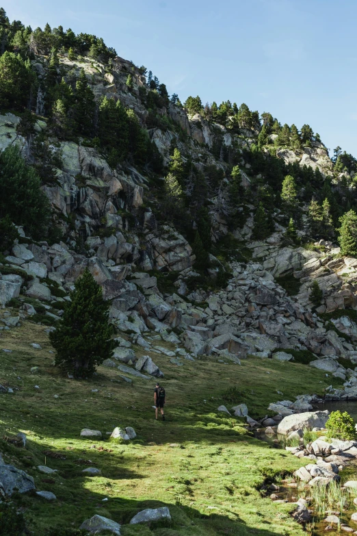 a herd of cattle grazing on a lush green hillside, les nabis, hiking in rocky mountain, sparse pine trees, mateo dineen, with jagged rocks & eerie