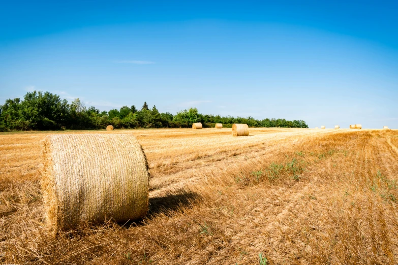 hay bales in a field with trees in the background, unsplash, land art, high quality product image”