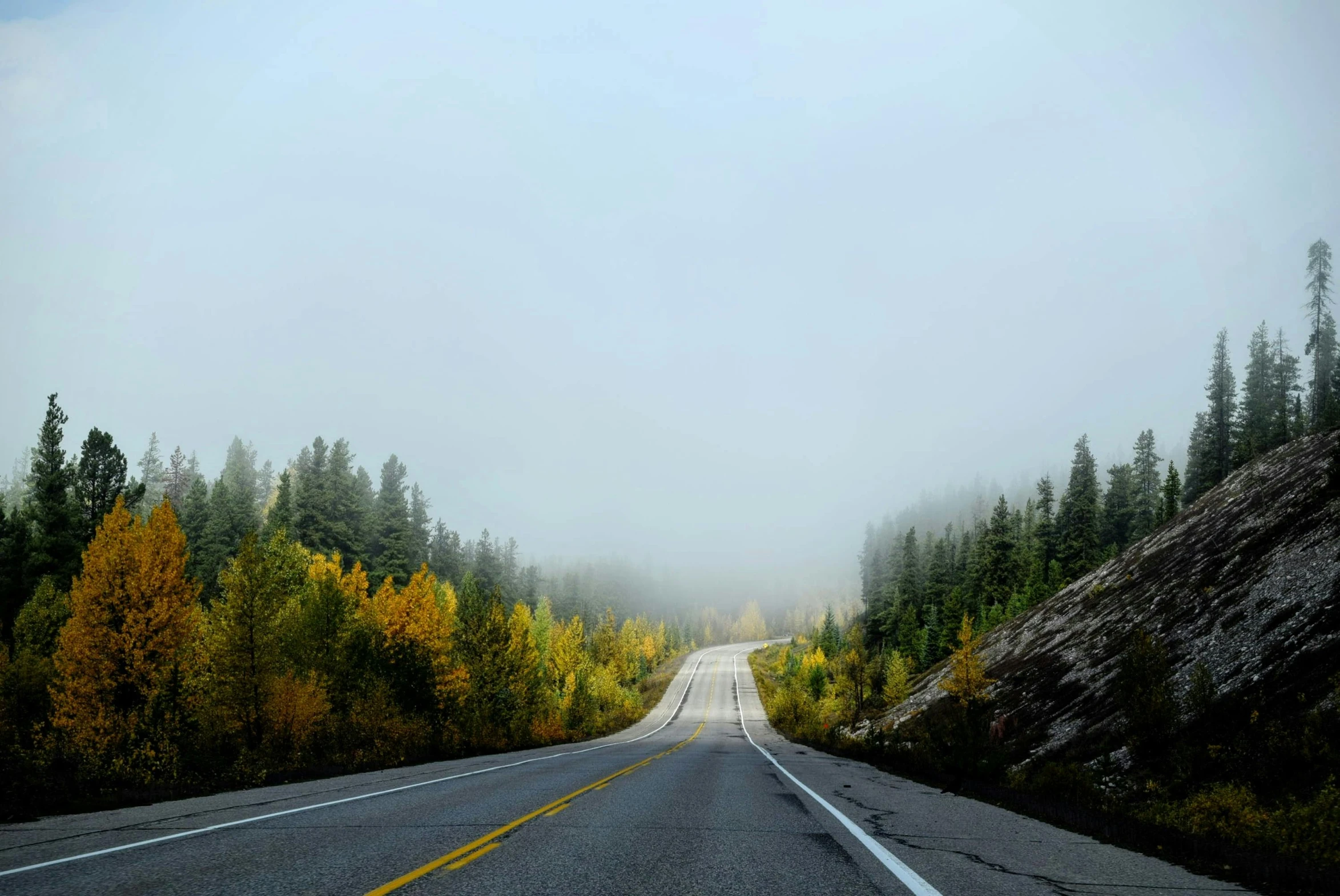 a road surrounded by trees on a foggy day, by Jessie Algie, pexels contest winner, banff national park, with a yellow green smog sky, diverse, grey