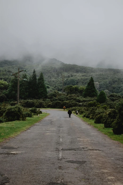 a person walking down a road on a cloudy day, hurufiyya, lush greenery, te pae, misty mountains, lo - fi