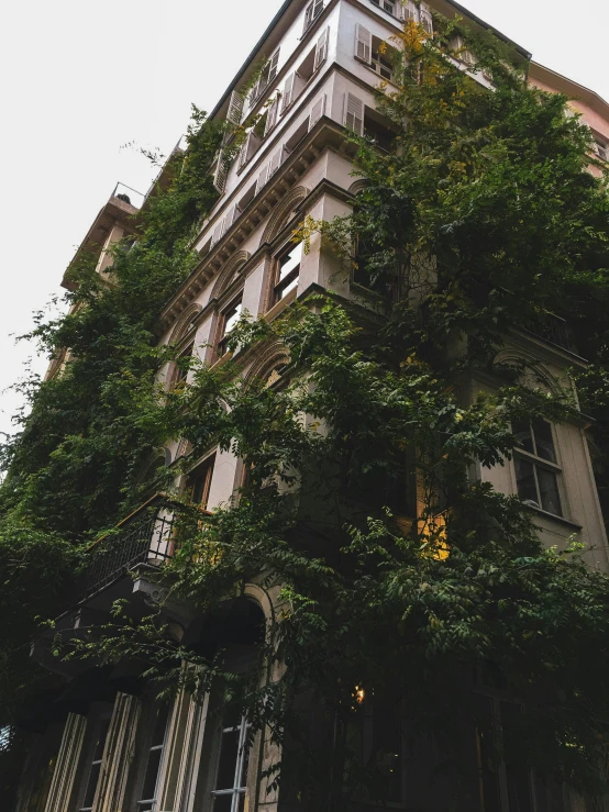 a tall building with vines growing on the side of it, inspired by Elsa Bleda, unsplash contest winner, renaissance, ✨🕌🌙, rundown new york apartment, neo - classical style, rich greenery