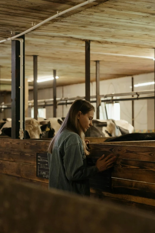 a woman standing in front of a bunch of cows, inside a barn, profile image, multiple stories, sweden