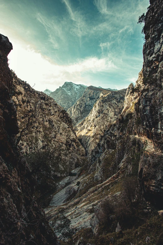 a person standing in the middle of a canyon, boka, rocky roads, towering high up over your view, texture