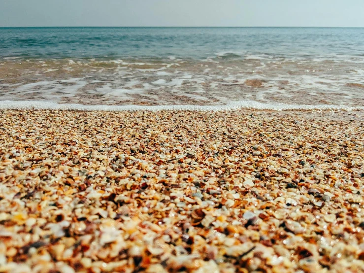 a beach filled with lots of shells next to the ocean, by Carey Morris, pexels, byzantine, 90s photo, sea line, 🤬 🤮 💕 🎀