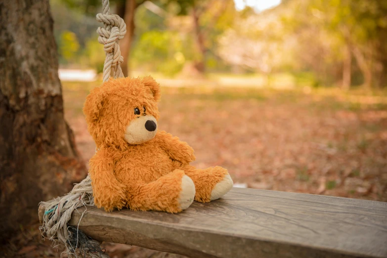 a brown teddy bear sitting on top of a wooden bench, sitting under a tree