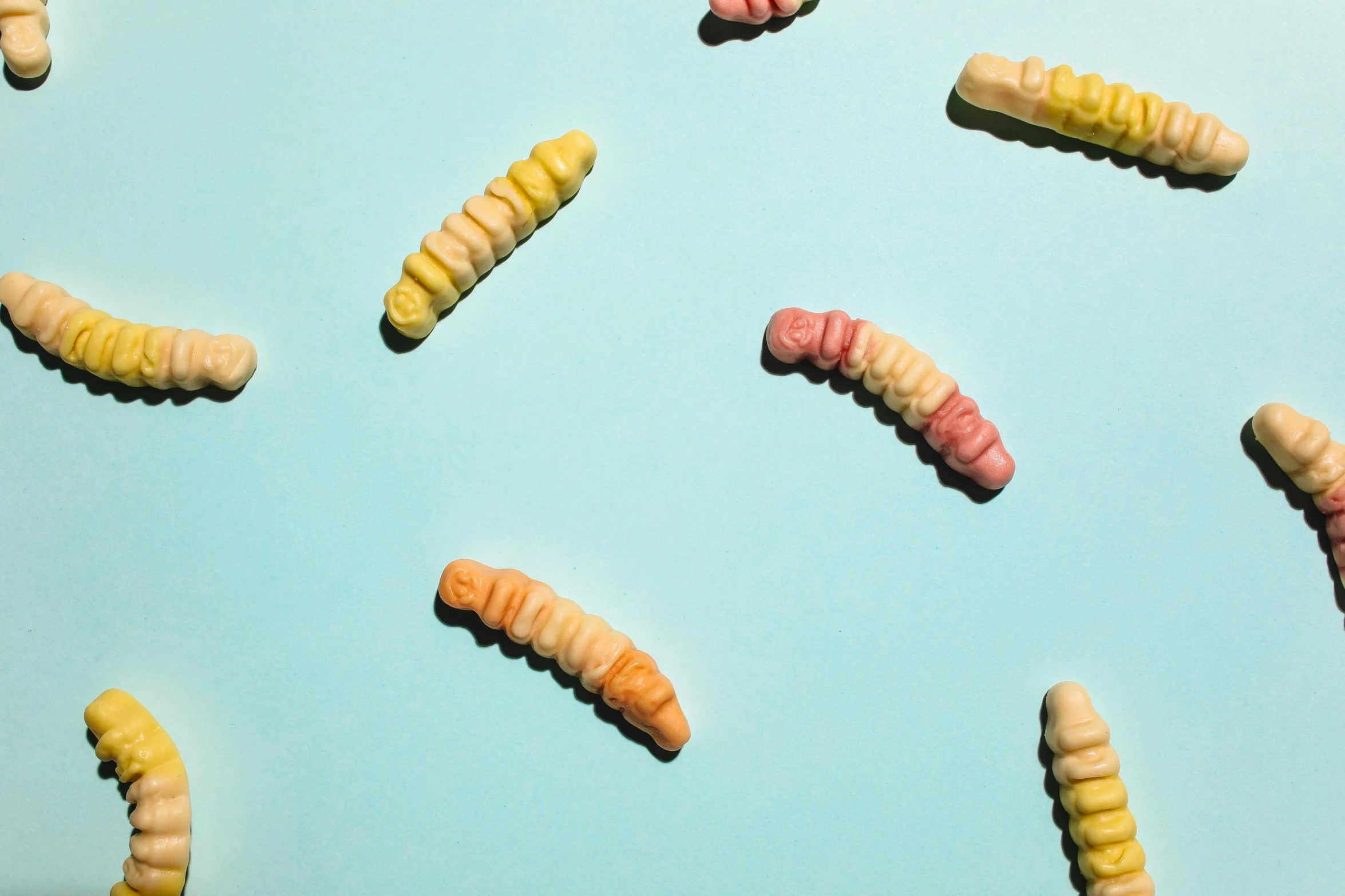 a group of worms sitting on top of a blue surface, inspired by Jan Rustem, trending on pexels, candy pastel, yellow uneven teeth, 1940s food photography, cicada wings