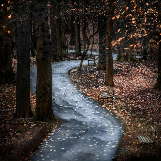 a winding path in the middle of a forest, by Adam Szentpétery, unsplash contest winner, cold lighting, in a park, brown, leaves trap