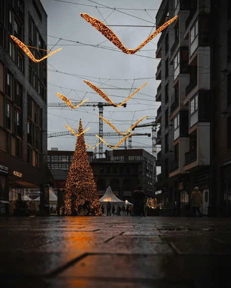 a christmas tree in the middle of a city street, pexels contest winner, thumbnail, full frame image, yellow street lights, profile image