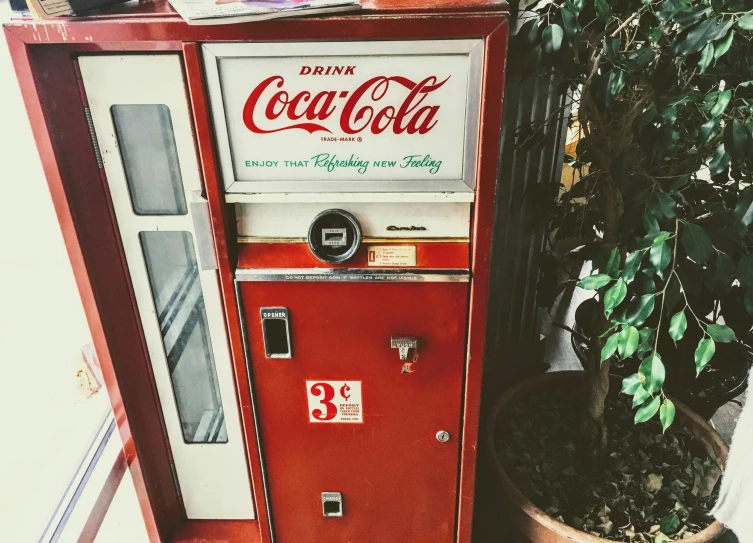 a coca cola machine sitting next to a potted plant, an album cover, inspired by Elsa Bleda, trending on unsplash, hyperrealism, old vintage photo, old experimentation cabinet, red and brown color scheme, sparkling in the sunlight