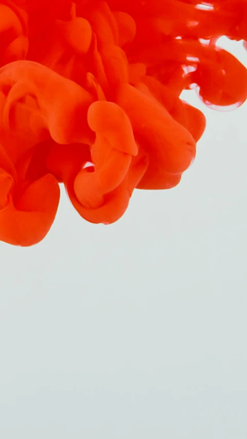 a close up of an orange substance in water, an album cover, inspired by Lynda Benglis, unsplash, red flower, showstudio, made of lab tissue, low quality photo