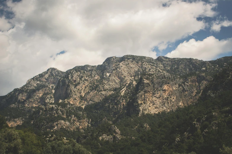 a herd of cattle standing on top of a lush green hillside, a picture, unsplash, les nabis, turkey, rocky cliff, high quality product image”