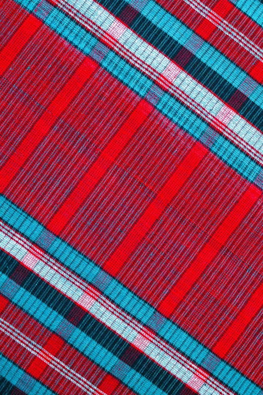 a close up of a red and blue plaid tie, inspired by James McIntosh Patrick, pexels contest winner, op art, sarong, red and cyan ink, made of fabric, picnic
