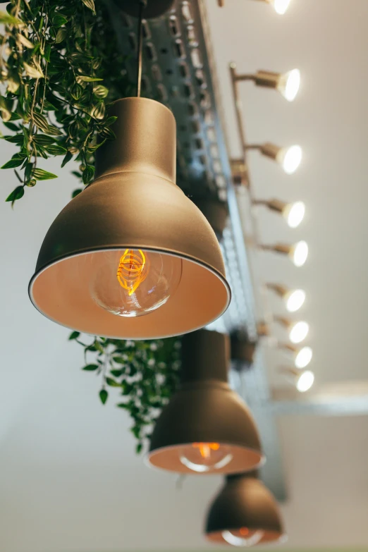 a bunch of lights hanging from a ceiling, trending on pexels, light and space, hanging plants, cafe lighting, smooth details, award-winning style
