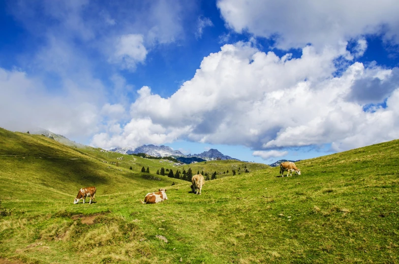 a herd of cattle grazing on a lush green hillside, an album cover, by Andries Stock, pexels contest winner, renaissance, alpine scenery, youtube thumbnail, ready to eat