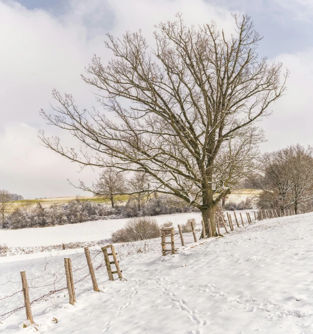 a man riding a snowboard down a snow covered slope, a picture, by Andries Stock, pexels contest winner, laying under a tree on a farm, beautiful english countryside, small fence, today\'s featured photograph 4k