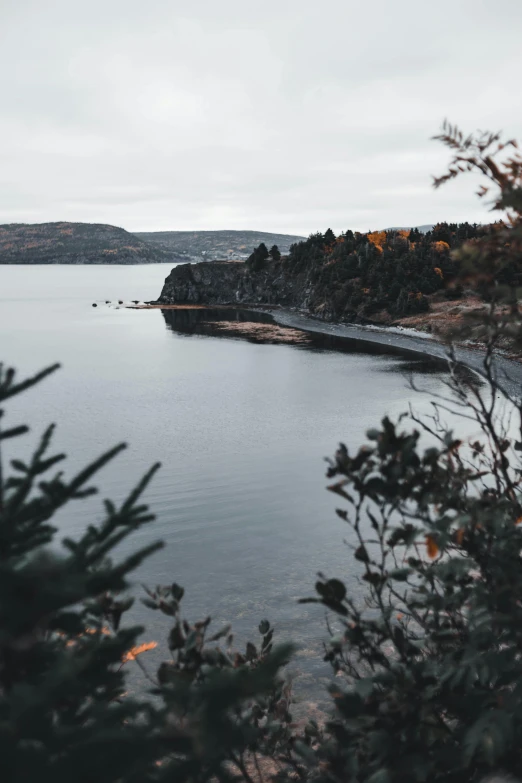 a body of water surrounded by trees on a cloudy day, pexels contest winner, les nabis, quebec, hills and ocean, a cozy, low quality photo