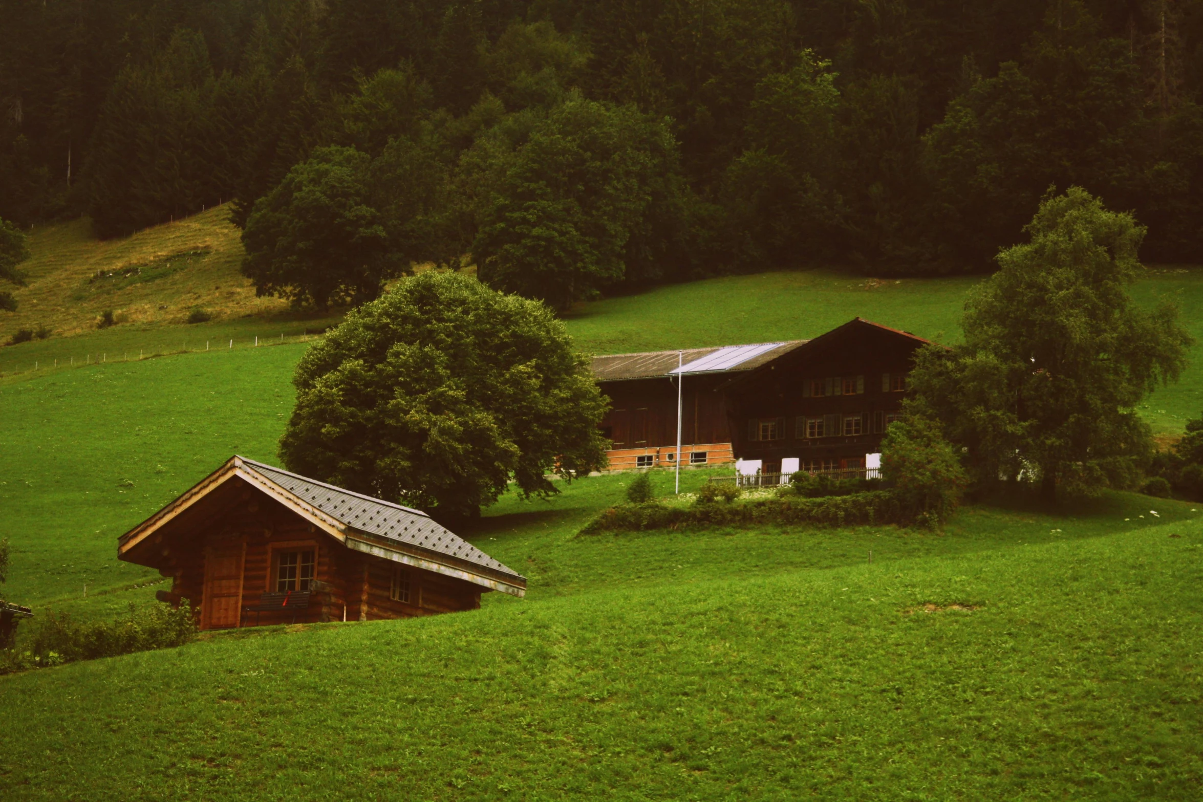 a couple of houses sitting on top of a lush green hillside, inspired by Peter Zumthor, pexels contest winner, chalet, vintage color, barn, brown