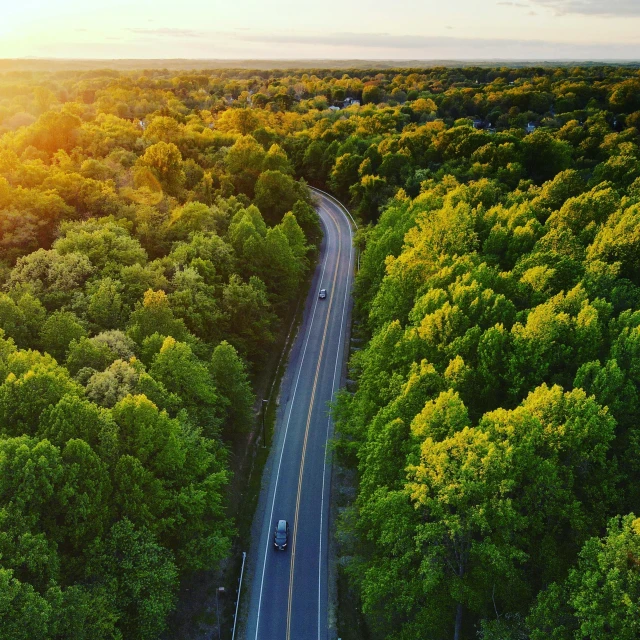 an aerial view of a road surrounded by trees, sun setting, big green trees, rhode island, uploaded