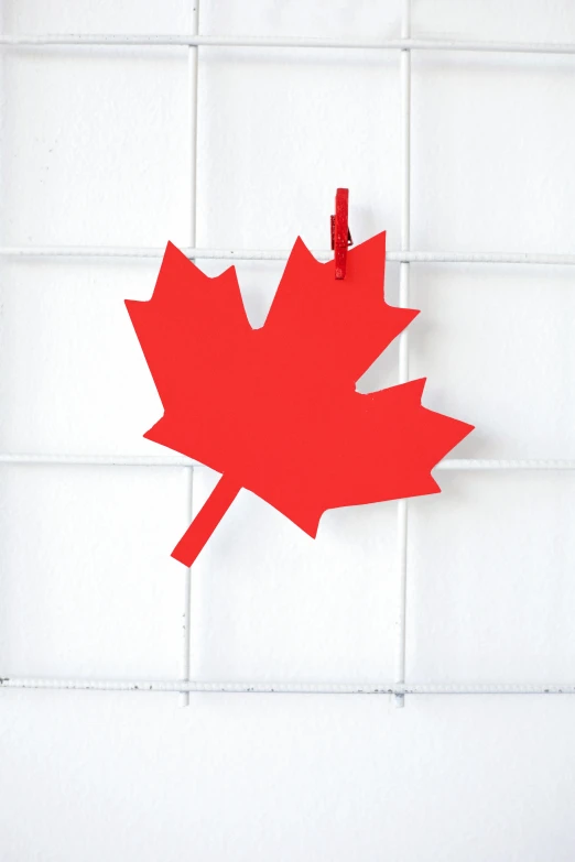 a red maple leaf hanging on a white brick wall, folk art, paper cutouts of plain colors, boards of canada, 3 4 5 3 1, oh yeah