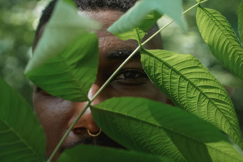 a man looking through the leaves of a tree, pexels contest winner, african facial features, thumbnail, lush greenery, avatar image