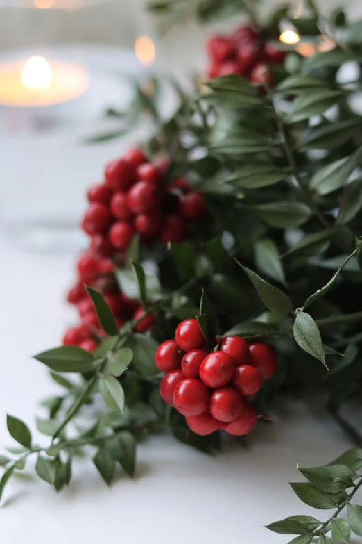 a bunch of red berries sitting on top of a table, by Lucette Barker, hurufiyya, natural candle lighting, close up details, evergreen, mint