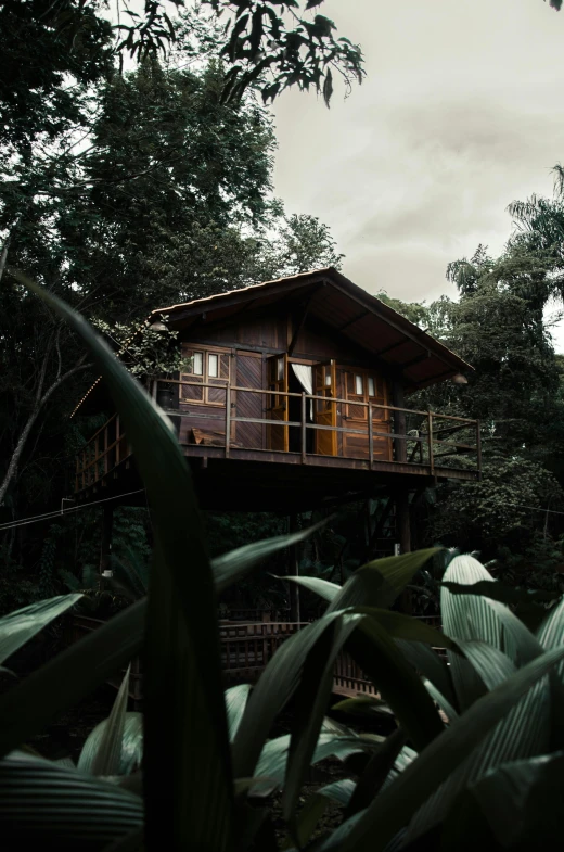 a tree house sitting on top of a lush green forest, inspired by Elsa Bleda, unsplash, banana trees, luxurious wooden cottage, dimly lit, panoramic shot