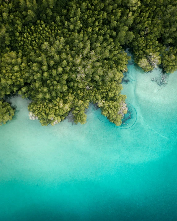 an aerial view of a body of water surrounded by trees, by Peter Churcher, unsplash contest winner, sumatraism, sea green color theme, thumbnail, multiple stories, vacation photo