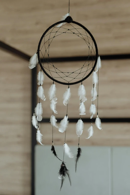 a black and white dream catcher hanging from a ceiling, carefully crafted, home display, educational