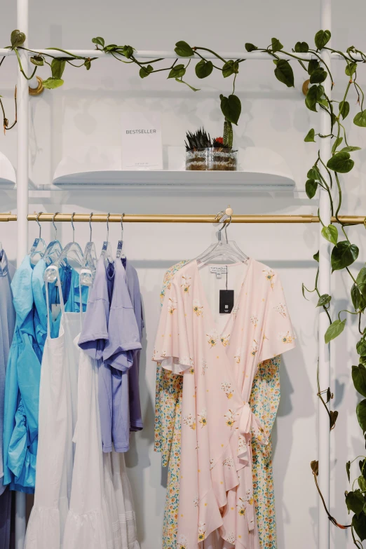 clothes hanging on a rack in a clothing store, trending on unsplash, blue and pink accents, vines, gold and white robes, white wall coloured workshop