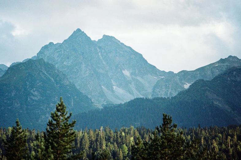 a view of a mountain range with trees in the foreground, inspired by Thomas Struth, unsplash, hurufiyya, фото девушка курит, 2000s photo, high-resolution photograph, evergreen