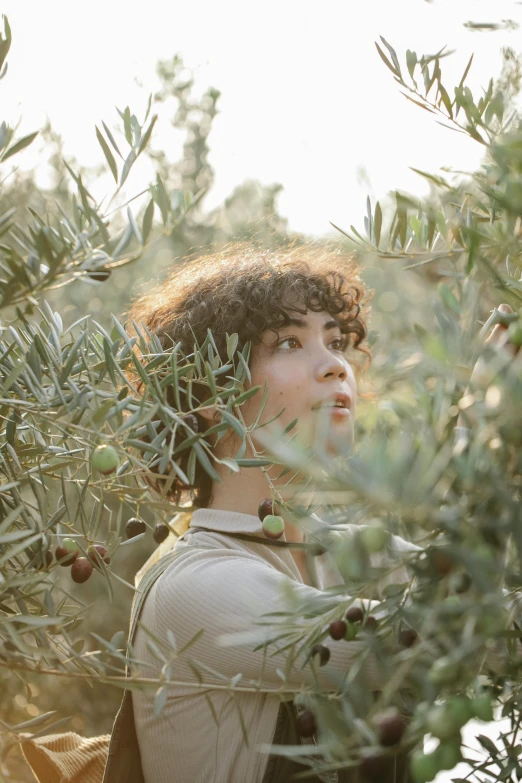 a woman picking olives from an olive tree, trending on pexels, renaissance, portrait of timothee chalamet, curly haired, looking out, finn wolfhard