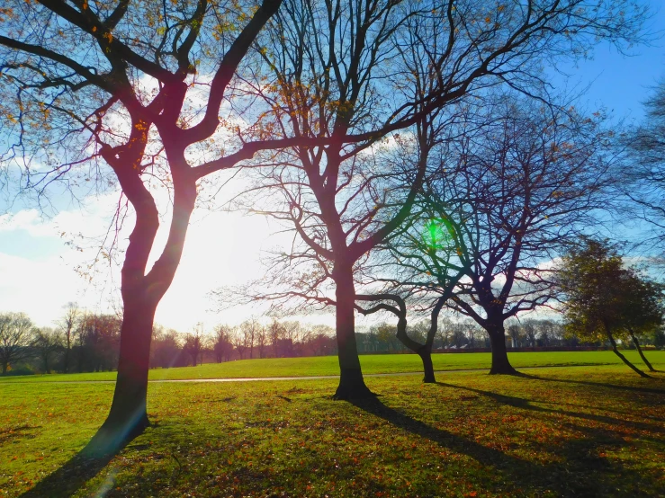 the sun is shining through the trees in the park, an album cover, pexels, land art, ((trees))