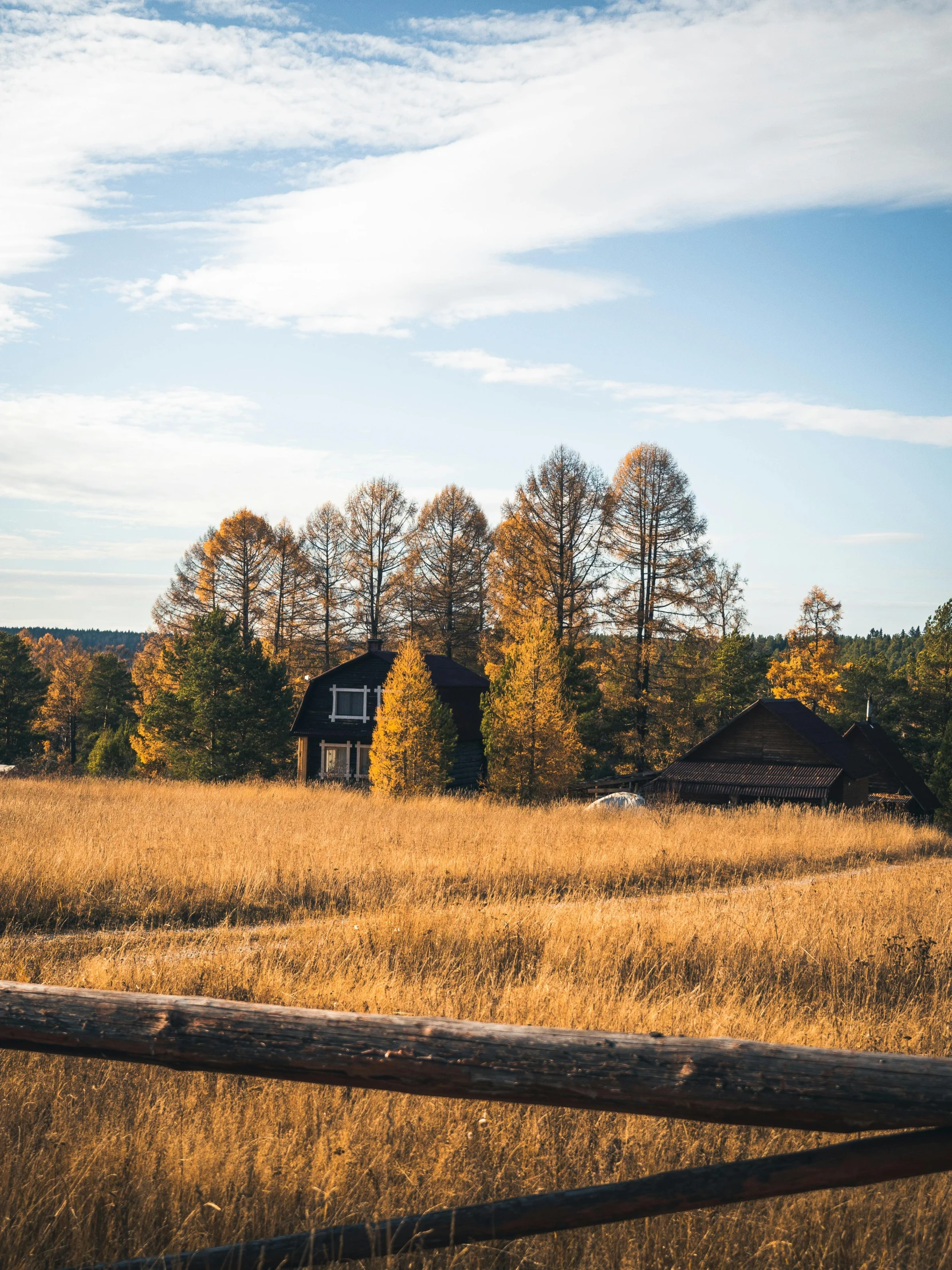 a wooden fence sitting in the middle of a field, by Jaakko Mattila, pexels contest winner, modernism, maple trees with fall foliage, log homes, pine trees in the background, exterior photo