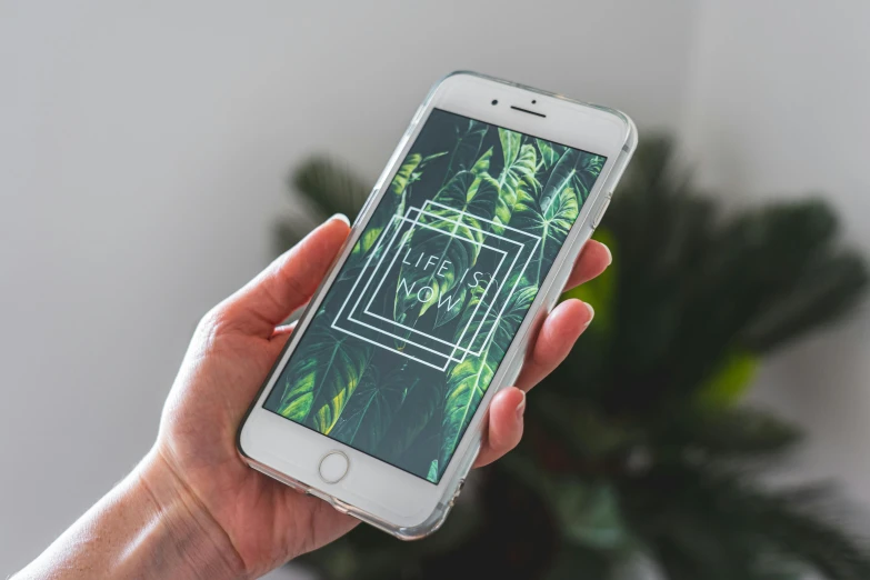 a person holding a cell phone in their hand, unsplash contest winner, botanical background, 9 9 designs, geometric wallpaper, the life