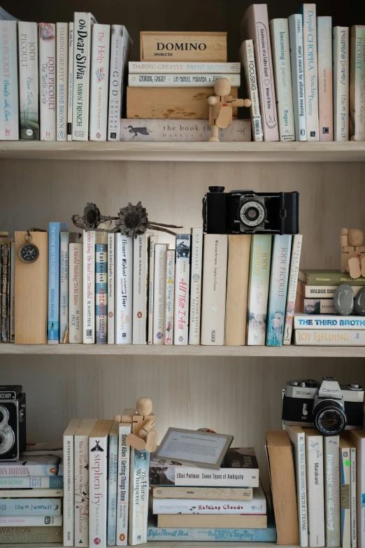 a bookshelf filled with lots of books and cameras, a picture, visual art, seaside, morandi, cottagecore, film cam