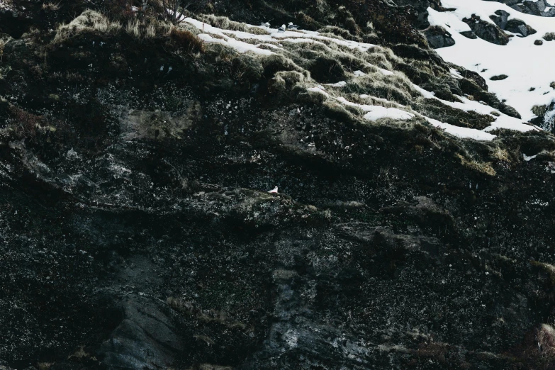 a man riding a snowboard down a snow covered slope, an album cover, inspired by Elsa Bleda, unsplash contest winner, realism, large rocks with thick moss, black sand, spooky photo, panel of black