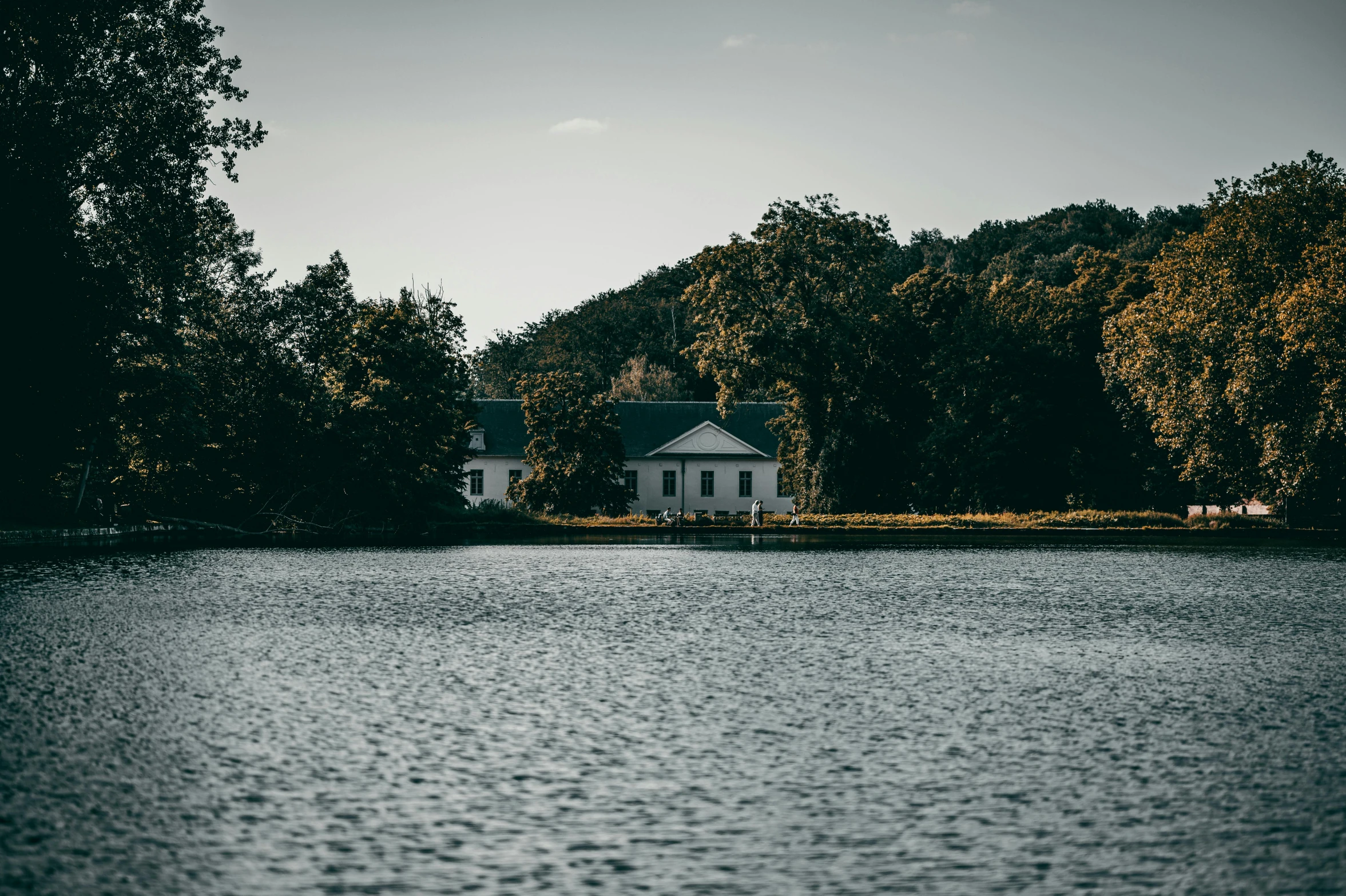 a white house sitting on top of a lake, by Jesper Knudsen, pexels contest winner, visual art, old style photo, against the backdrop of trees, close together, distance view