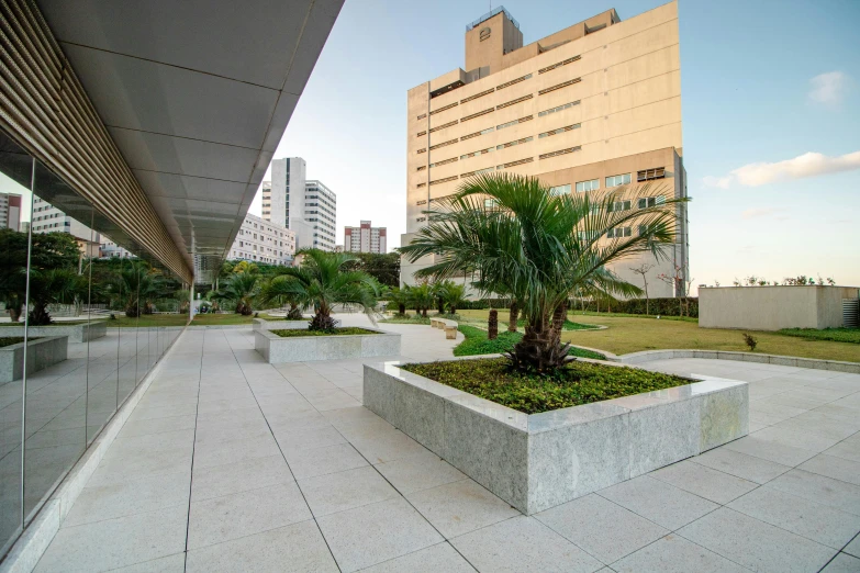 a palm tree sitting on top of a cement planter, inspired by Carlos Francisco Chang Marín, unsplash, concrete art, elegant walkways between towers, hospital, grass field surrounding the city, edu souza