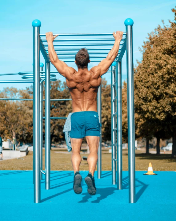 a man doing pull ups in a park, by Kristian Zahrtmann, 🚿🗝📝